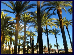 Explanada de España - this is the fashionable palm promenade the goes along the coastline in the city centre of Alicante, with curve shaped tile patterns. Filled with restaurants and market stalls.