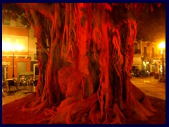 Alicante by night 50 - Plaza Gabriel Miró, a njice square with illuminated trees and open air restaurants and fountains