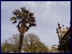 Royal Pavilion and Gardens 22