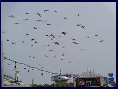 Brighton Palace Pier and its views 30