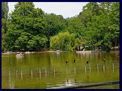 Cismigiu Park - Lake Cismigiu