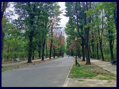 Herastrau Park 24