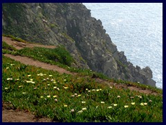 Cabo da Roca 31