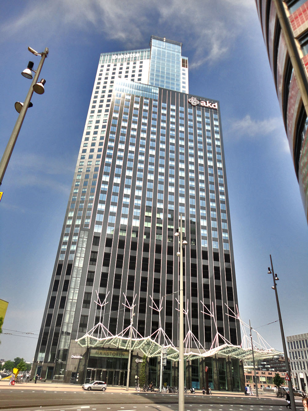 Rotterdam - Kop van Zuid, Wilhelminapier