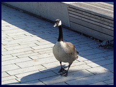 Hofgarten 04