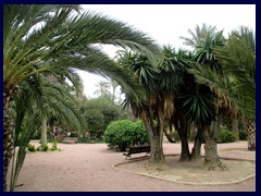 Elche City Centre 11 -  Parc del Filet de Fora, a public park/palm garden