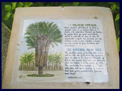 Huerto del Cura 10 - The Imperial Palm Tree, the main reason for the popularity of the Huerto. Dedicated to Empress Elisabeth of Austria in 1894.