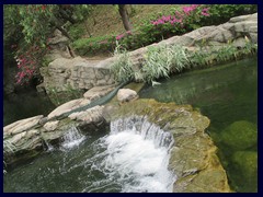 Hong_Kong_Park_13