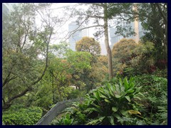 Hong_Kong_Park_34