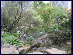 Hong_Kong_Park_36