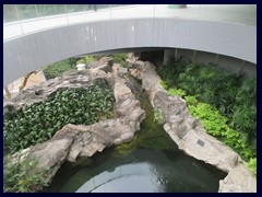 Hong_Kong_Park_40