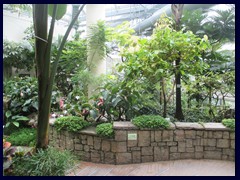 Hong_Kong_Park_46