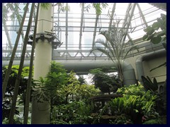 Hong_Kong_Park_49