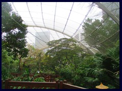 Aviary, an enclosed area for exotic birds, Hong Kong Park.