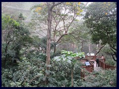 Aviary, an enclosed area for exotic birds, Hong Kong Park.