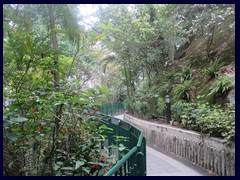 Hong Kong Zoological and Botanical Gardens, one of the oldest of its kind in the world