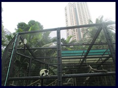 Hong_Kong_Zoo_22