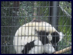 Hong_Kong_Zoo_23