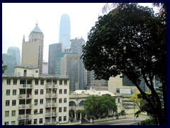 SSkyline of Central, dominated by Two IFC, seen from HK Zoological and Botanical Gardens.