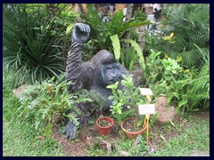 Hong_Kong_Zoo_36