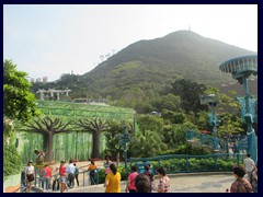 Ocean Park 011