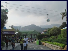 Ocean Park 048