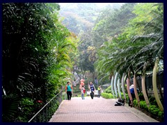 Hong Kong Park, a hilly, beautiful park in between Central/Admiralty and Mid-Levels. It opened in 1991 and covers and area of 80 000 m2.