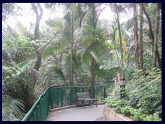 Hong Kong Zoological and Botanical Gardens, one of the oldest of its kind in the world, is open to public and has no entrance fee. We just walked in from Conduit Road. It is more like a very beautiful park with animals then a typical zoo.