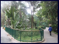 Hong Kong Zoological and Botanical Garden 10.JPG