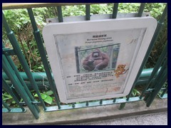 Hong Kong Zoological and Botanical Garden 11.JPG