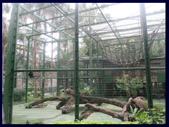 Hong Kong Zoological and Botanical Garden 12.JPG