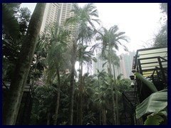 Hong Kong Zoological and Botanical Garden 26.JPG