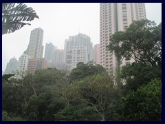 Hong Kong Zoological and Botanical Garden 37.JPG