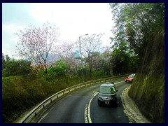 Stubbs Road takes you from central Hong Kong on the North part of Hong Kong Island to the beach resorts in the South part. 