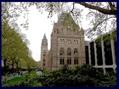 Natural History Museum, South Kensington