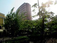 Jardim das Artes (Artes Garden) is a small park in the middle of Avenida de Amizade in Macau's city center. It offers sculptures, palms, trees and an outdoor gym. Once you get in it is hard to find the way out!