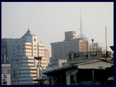 Macau skyline from St Paul's Ruins. Macau Tower in the background.