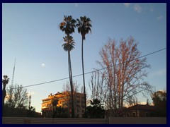 Murcia City Centre 111 - Jardin del Salitre, a beautiful park in the West part of the city centre