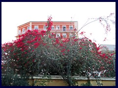 Murcia City Centre 116 - Jardin del Salitre
