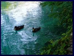 Plitvice Lakes National Park 040