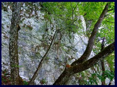 Plitvice Lakes National Park 041
