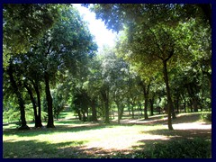 Villa Borghese 008