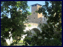 Banks of Tiber 017