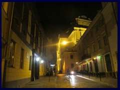 Vilnius by night 025