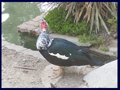 Grande Jose Antonio Labordeta Park 10